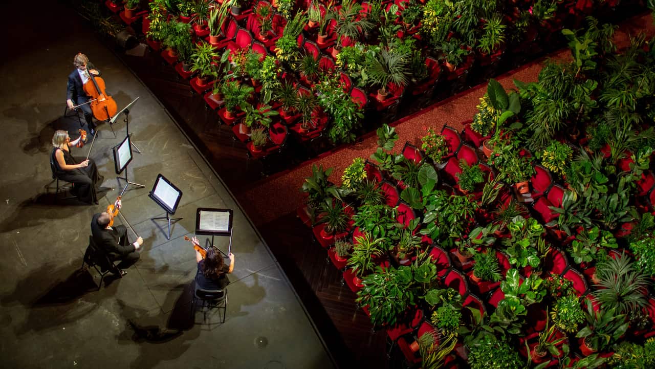 Barcelona Opera House Opens With Concert For 2,292 Plants Plants