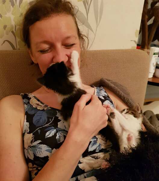 Kittens