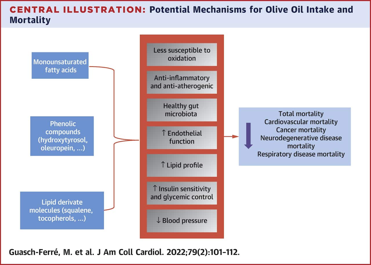 graph on health results associated with olive oil consumption