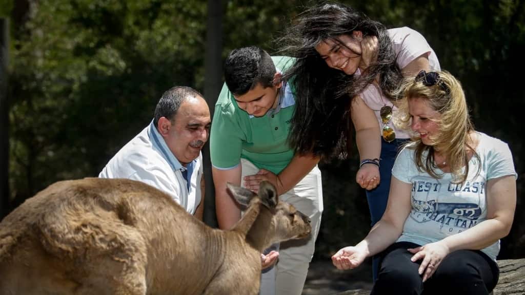 Osama Butti and his family feeding a kangroo after arriving to Australia