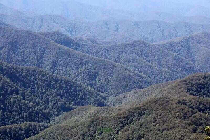 Oxley Wild Rivers National Park