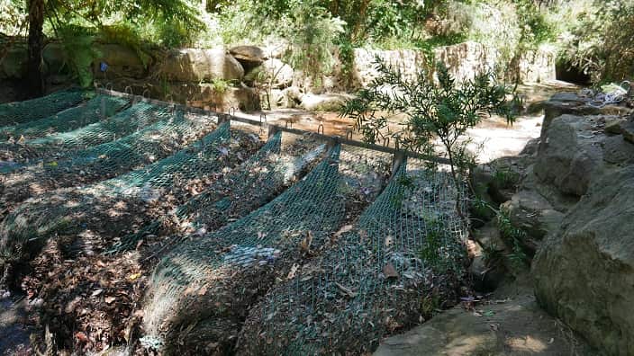 Multiple nets are installed together to remove material from the water in Hornsby Council, Sydney.