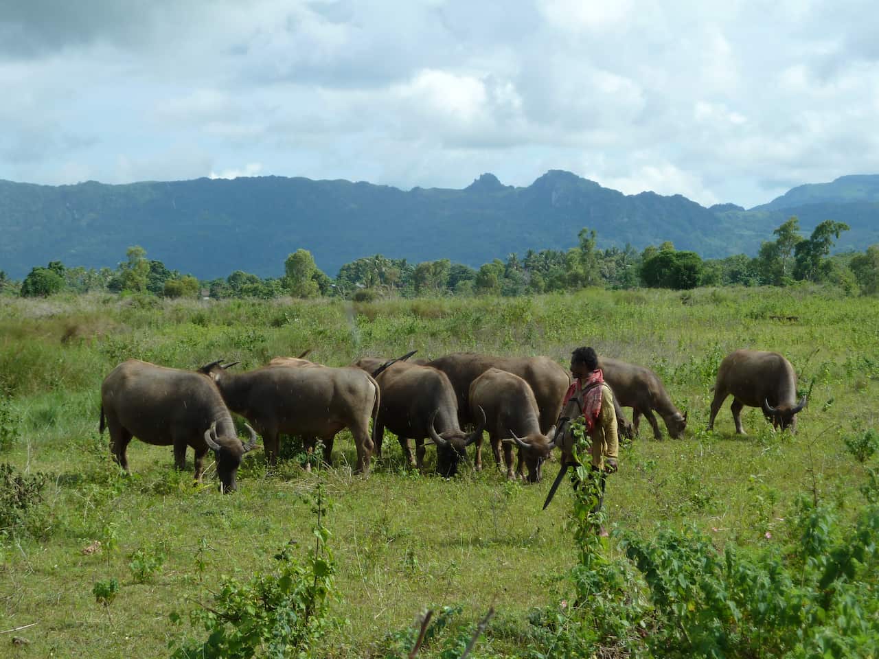 Baucau Plateau 