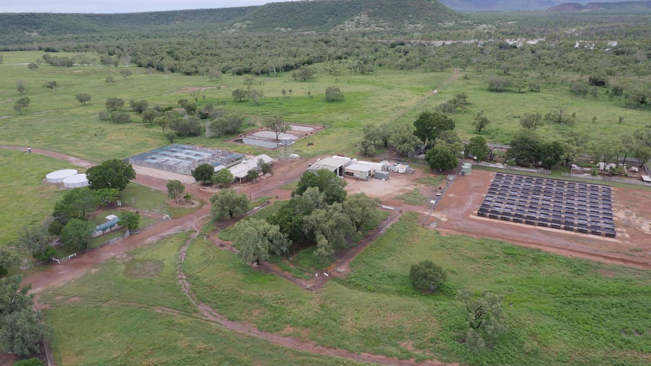 Coolibah crocodile farm, in the Northern Territory, was bought by LVMH in 2017