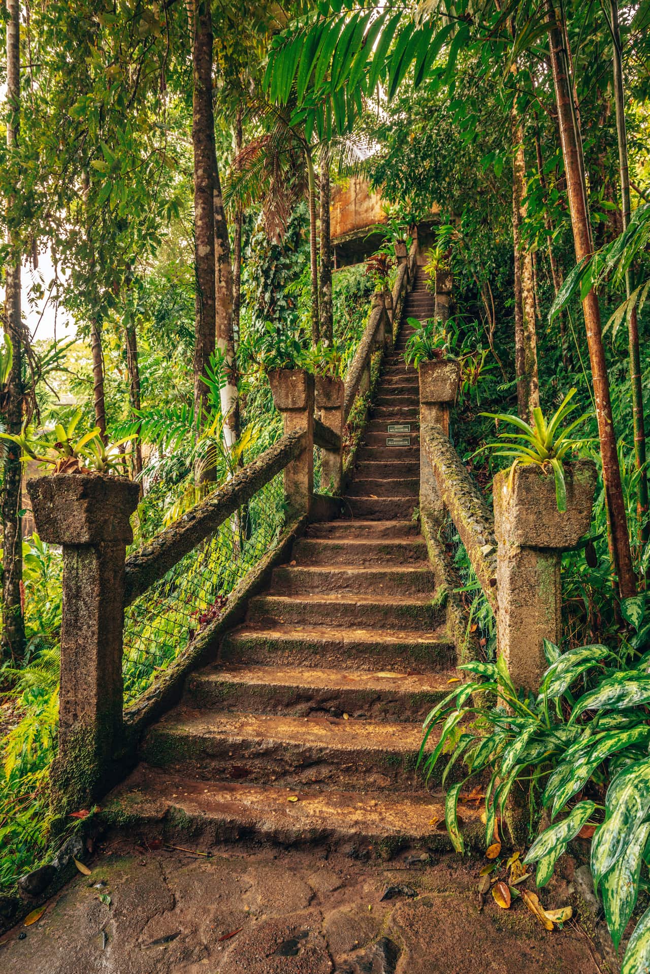 José construyó una escalera de 47 escalones para poder moverse con mayor facilidad sobre el terreno.