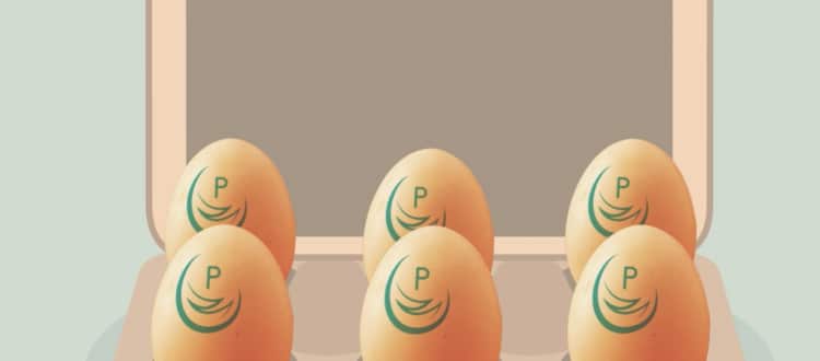 Pasteurised eggs in a carton