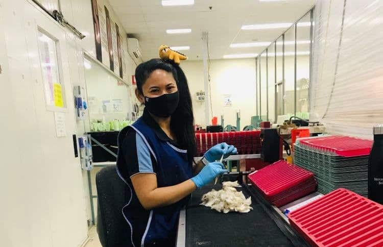 คุณแพตกับตัวอย่างขนแกะที่ต้องทำการทดสอบคุณภาพ