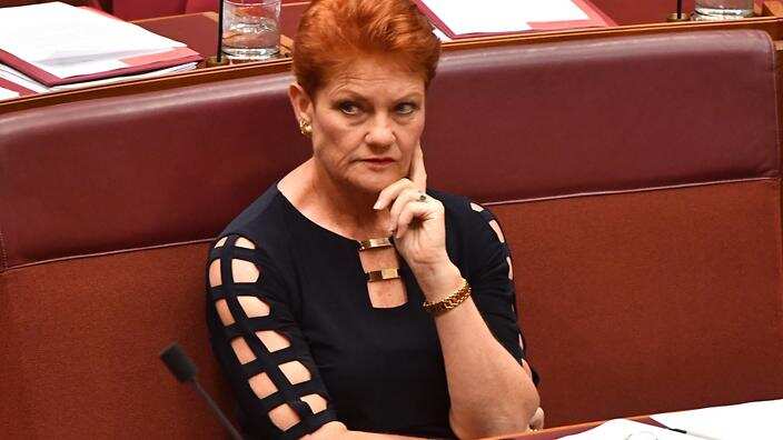 One Nation leader Senator Pauline Hanson