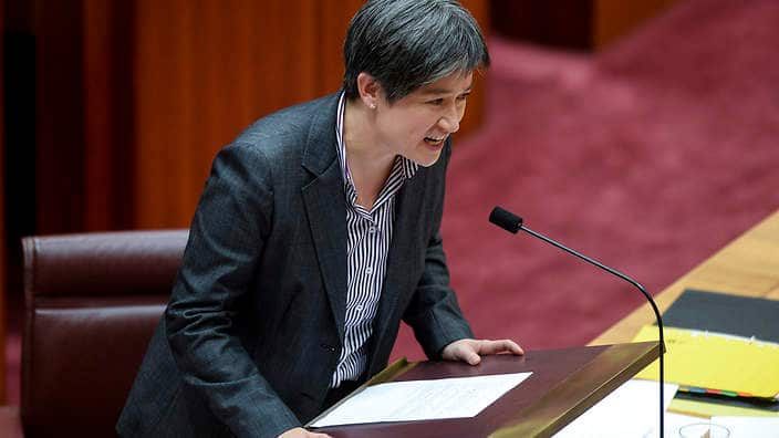 The leader of the oppositon in the Senate Penny Wong speaks during Senate question time at Parliament House in Canberra, Thursday, July 10, 2014. (AAP Image/Lukas Coch) NO ARCHIVING