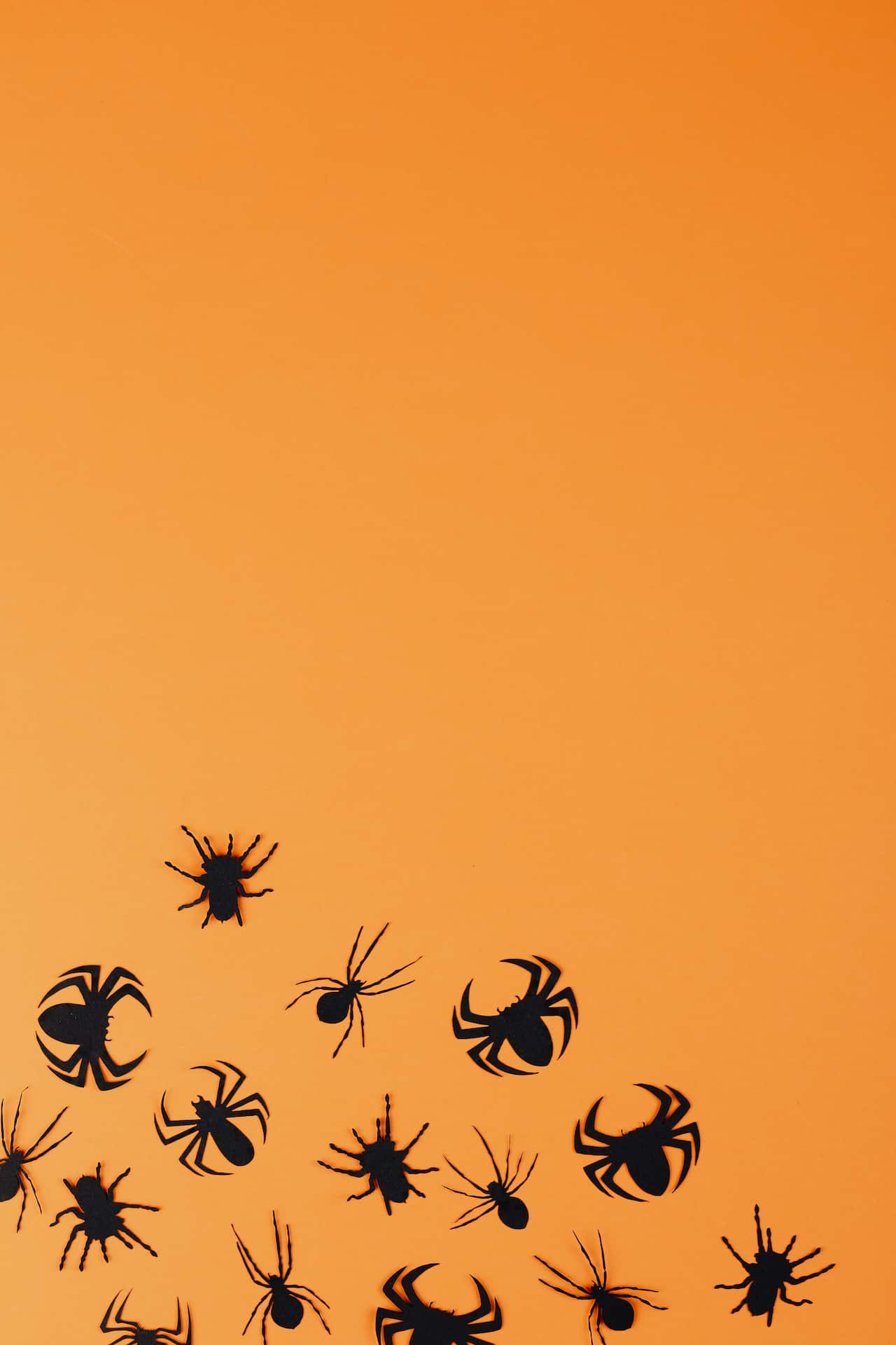 Spiders on the wall