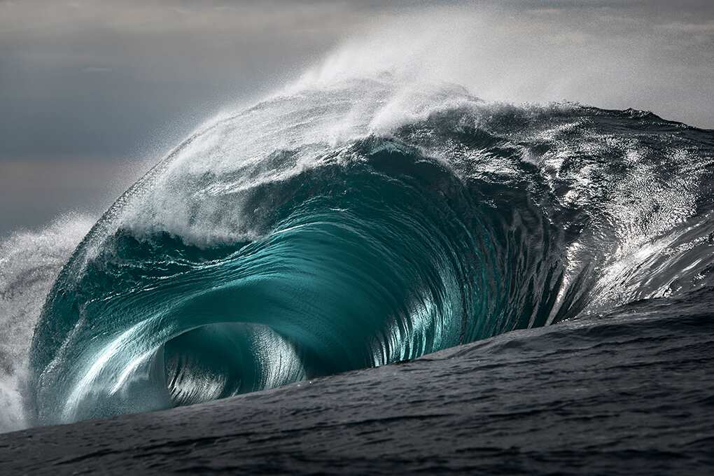 'Phoenix' by Ray Collins