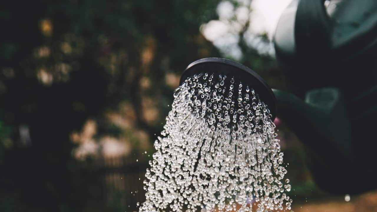 watering can