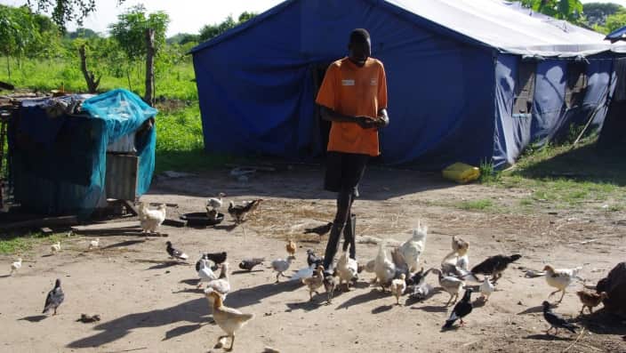 Chol feeding his birds at home 