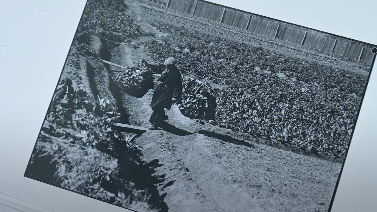 Exhibit displayed at "Our Journeys I Our Stories" at Hurstville Museum & Gallery.