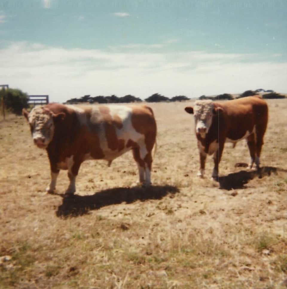 Omaru Farm_Philip island