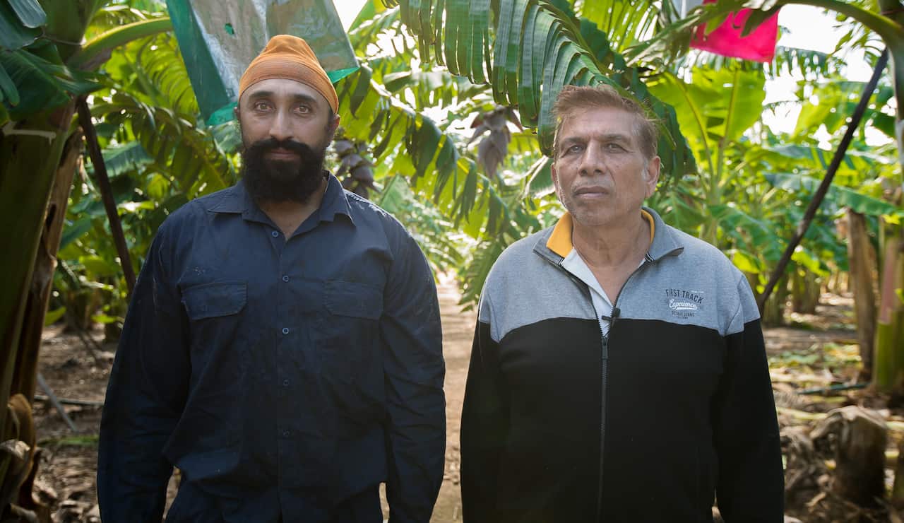 Woolgoolga's Sikh Farmers