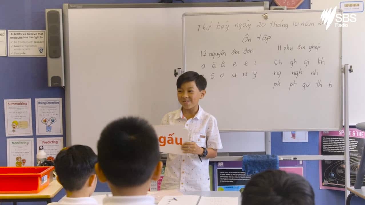 Students in Vietnamese Inner West School, Marrickville