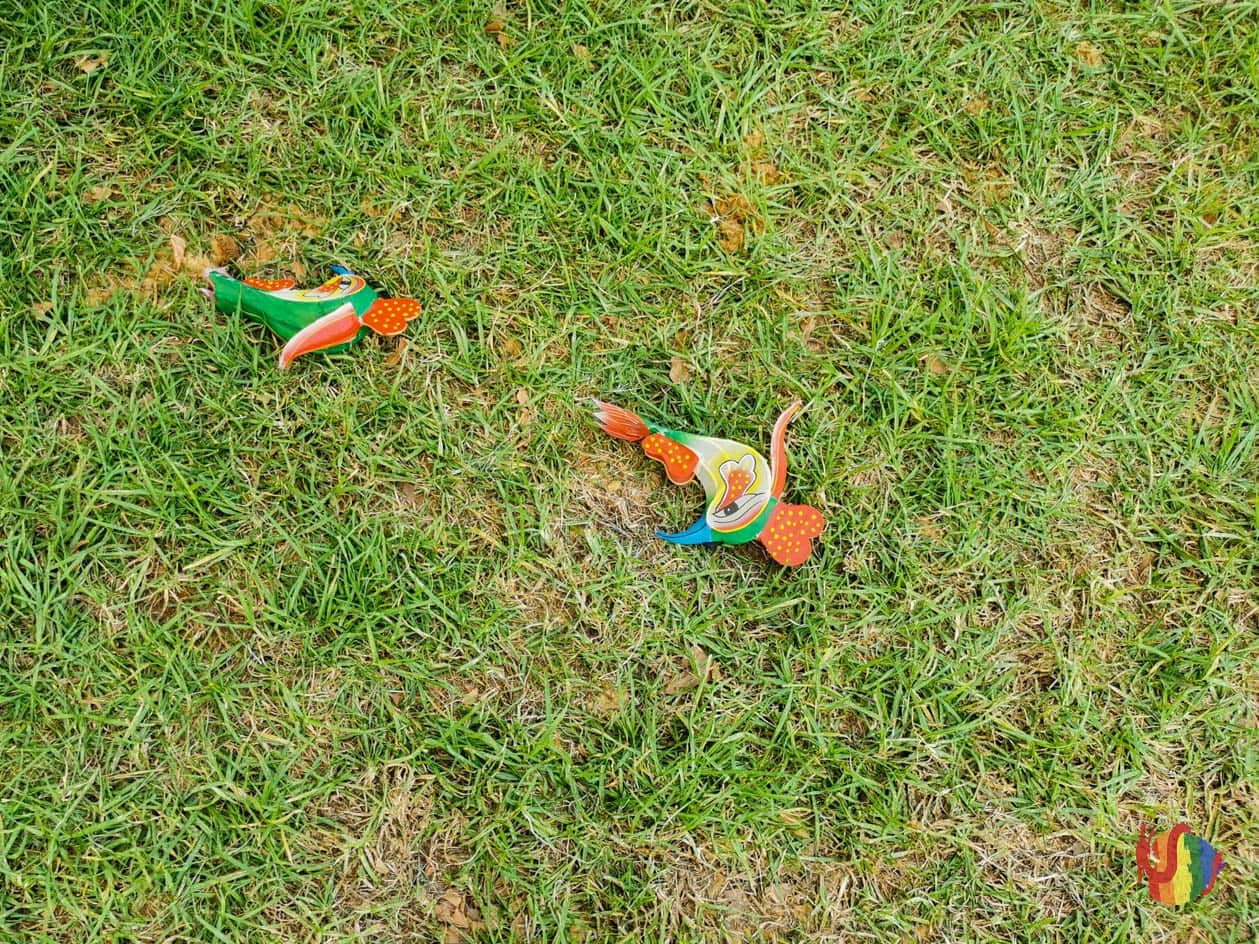 Mardi Gras Chinese Float Group