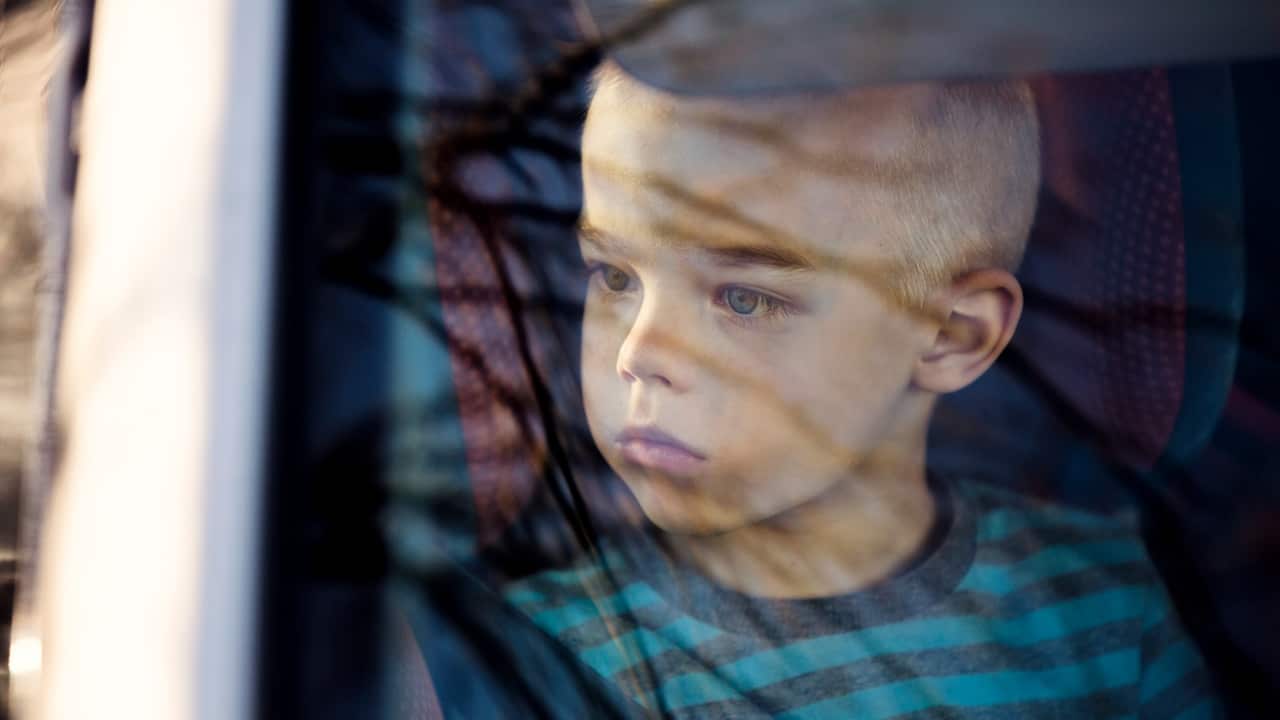 settlement Guide: Autism