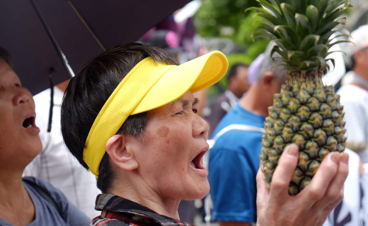 Taiwanese pineapple farmer