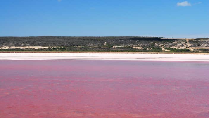 Pink Lake