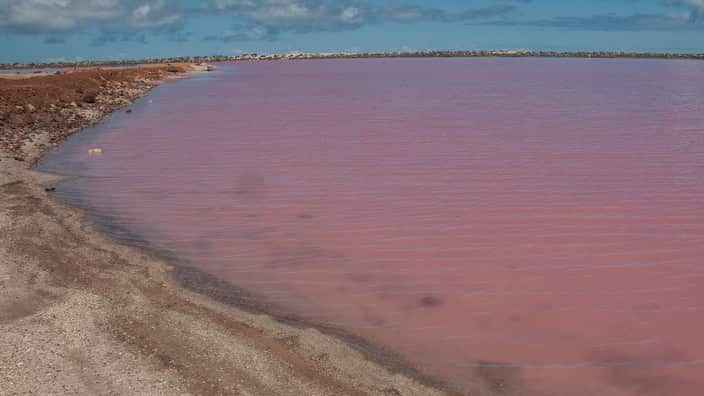 Pink Lake
