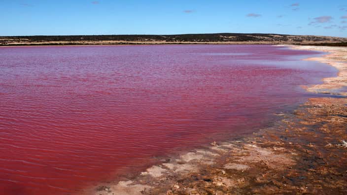 Hutt Pink Lagoon at Port Gregory, Western Australia, Australia