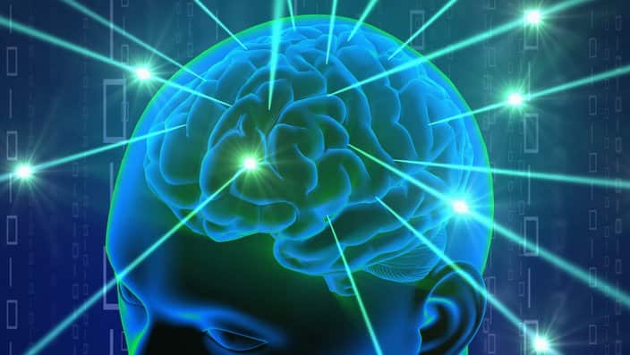 انسانی دماغ