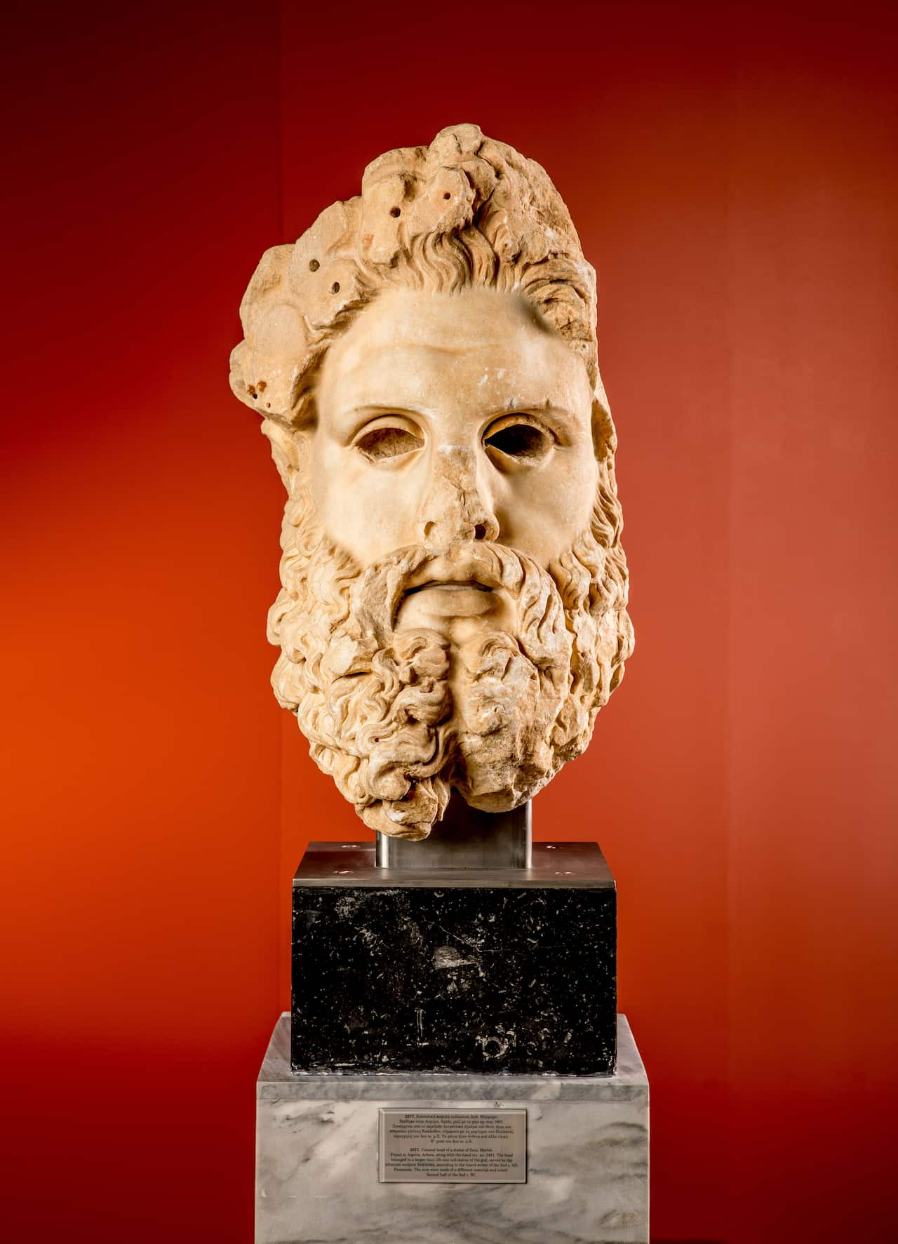 很多希臘家庭會用古希臘的男神女神作爲寵物的名字。 Source：Tim Carrafa