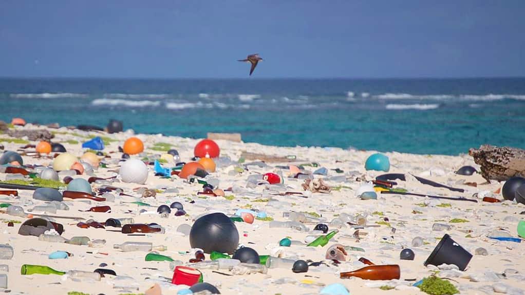 Marine debris litters a beach on Laysan Island in the Hawaiian Islands National Wildlife Refuge, where it washed ashore