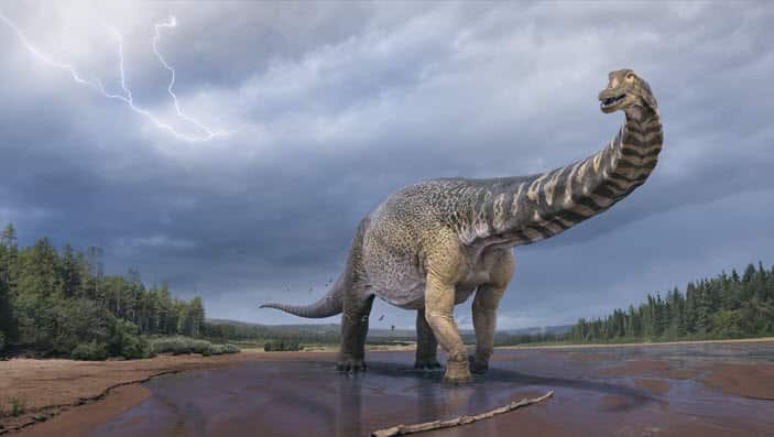 A supplied undated artists' impression shows the Australotitan cooperensis, or the southern titan, dinosaur.