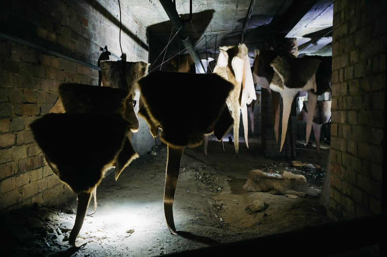 devil devil by Nicole Monks & Jenine Boeree