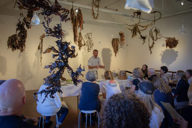 Seaweed Forest Festival food demo