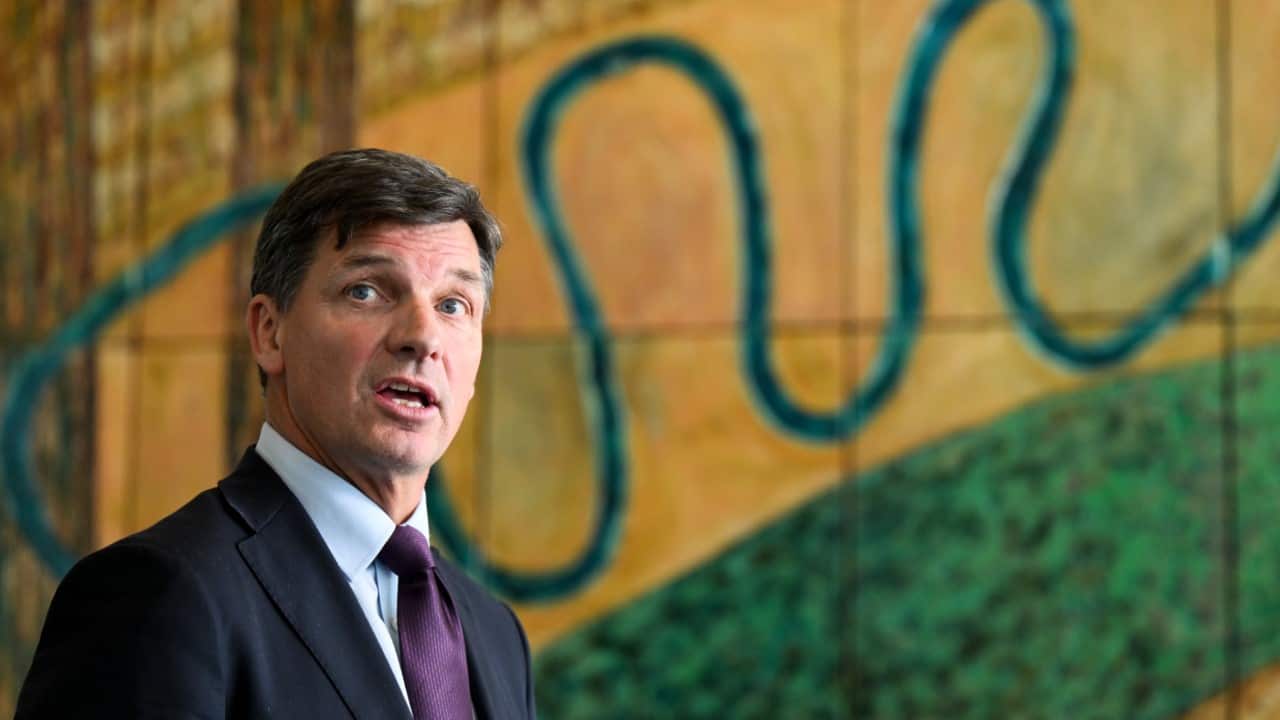 Angus Taylor