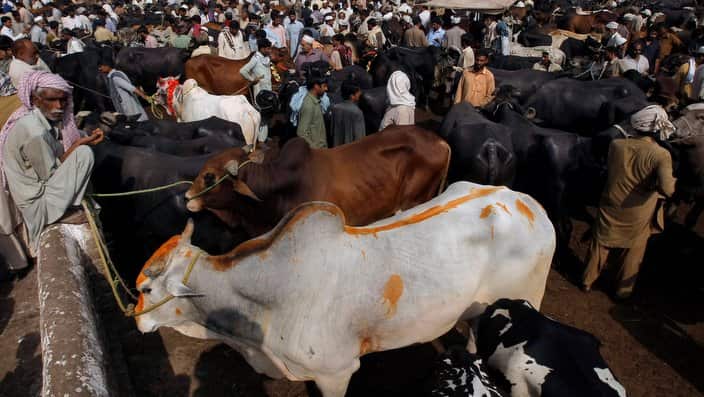 People visit a cattle market to buy a sacrificial animal for the upcoming Eid al-Adha (AP Photo/Mohammad Sajjad)