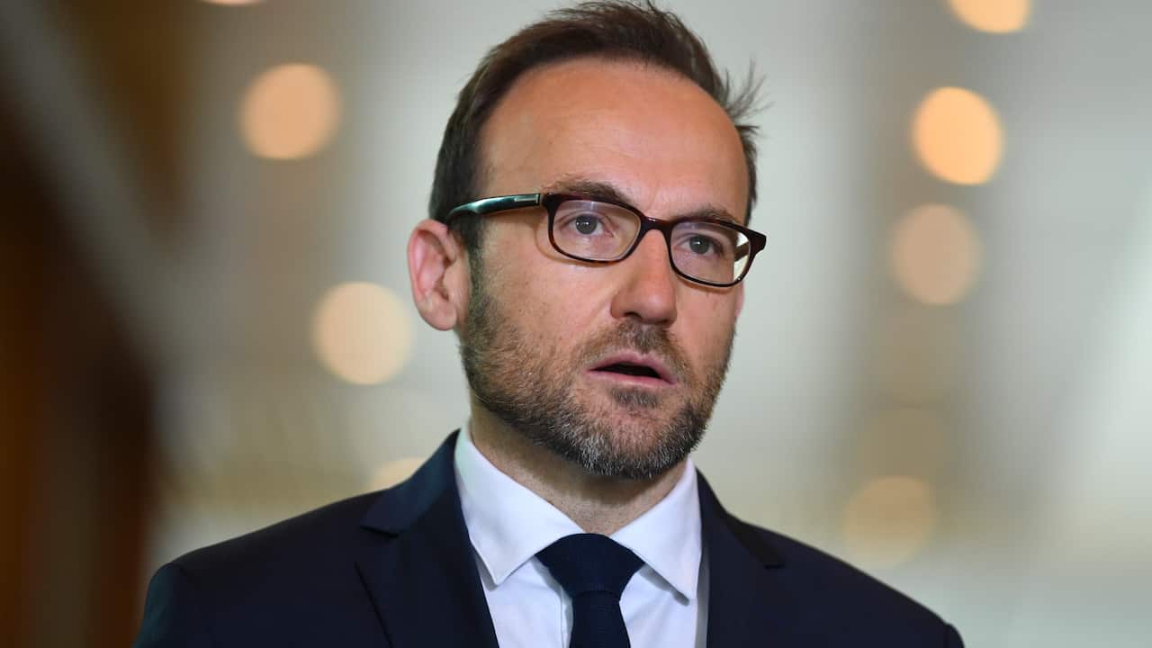 Australian Greens leader Adam Bandt