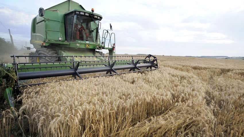 Australian Wheat Farm