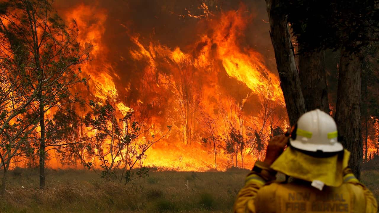 firefighter with bushfire