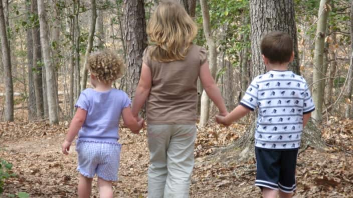Children walking in forest. 