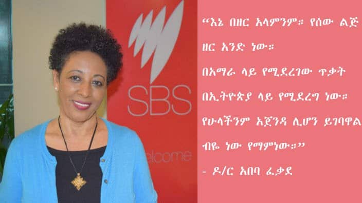 Interview with Dr Abeba Fekade