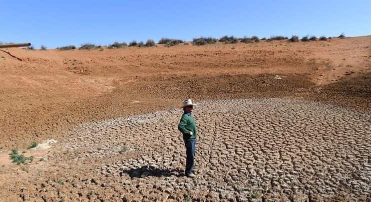 A drought hit farmer in NSW