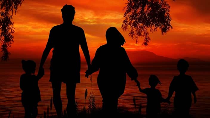 Inquiry into the permanency amendments