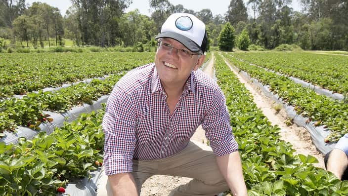 Australia's Prime Minister Scott Morrison is seen during a visit to a strawberry farm in Chambers Flat in southeast Queensland, Monday, November 5, 2018.