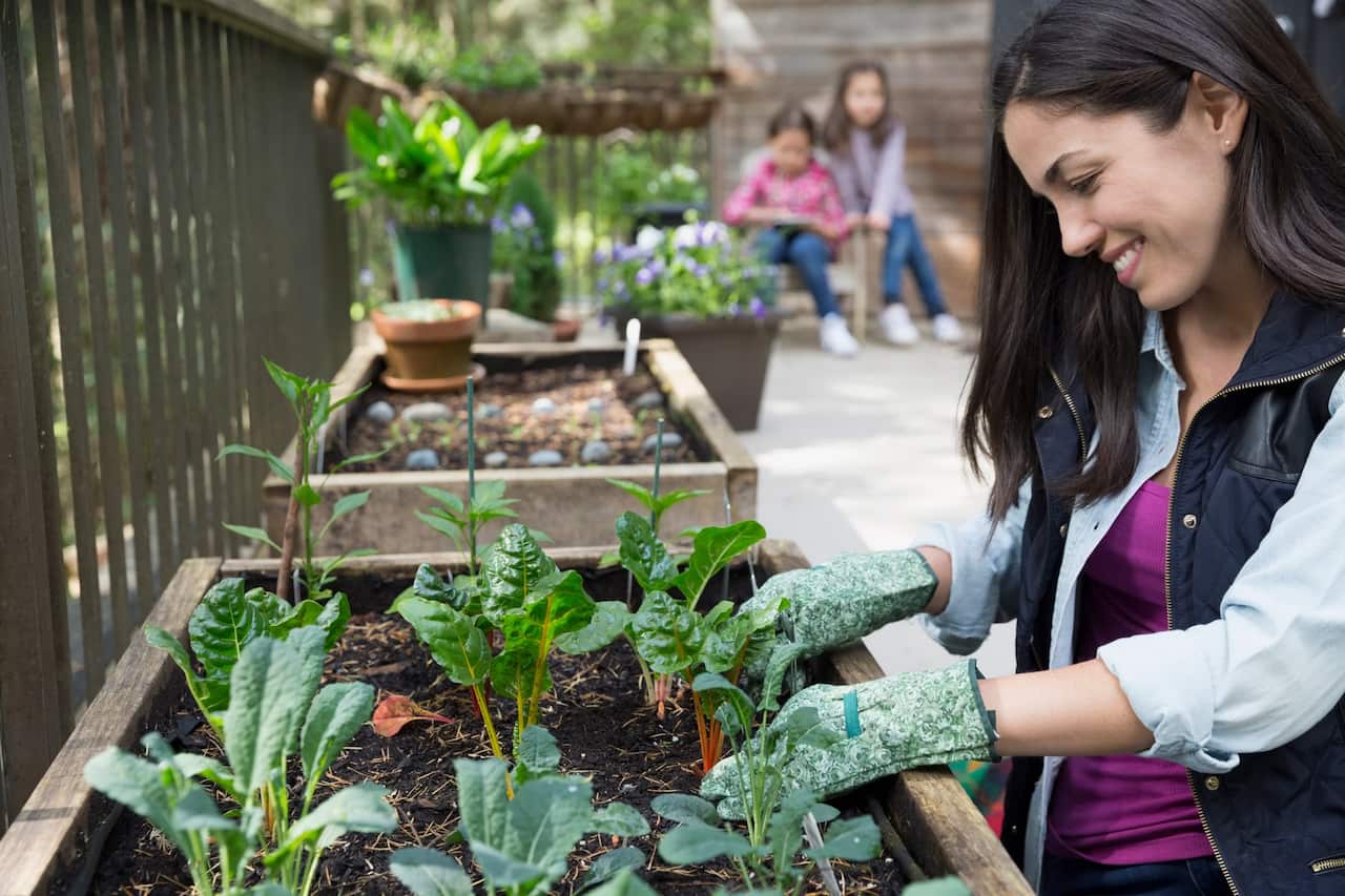 Smiling woman gardening on balcony