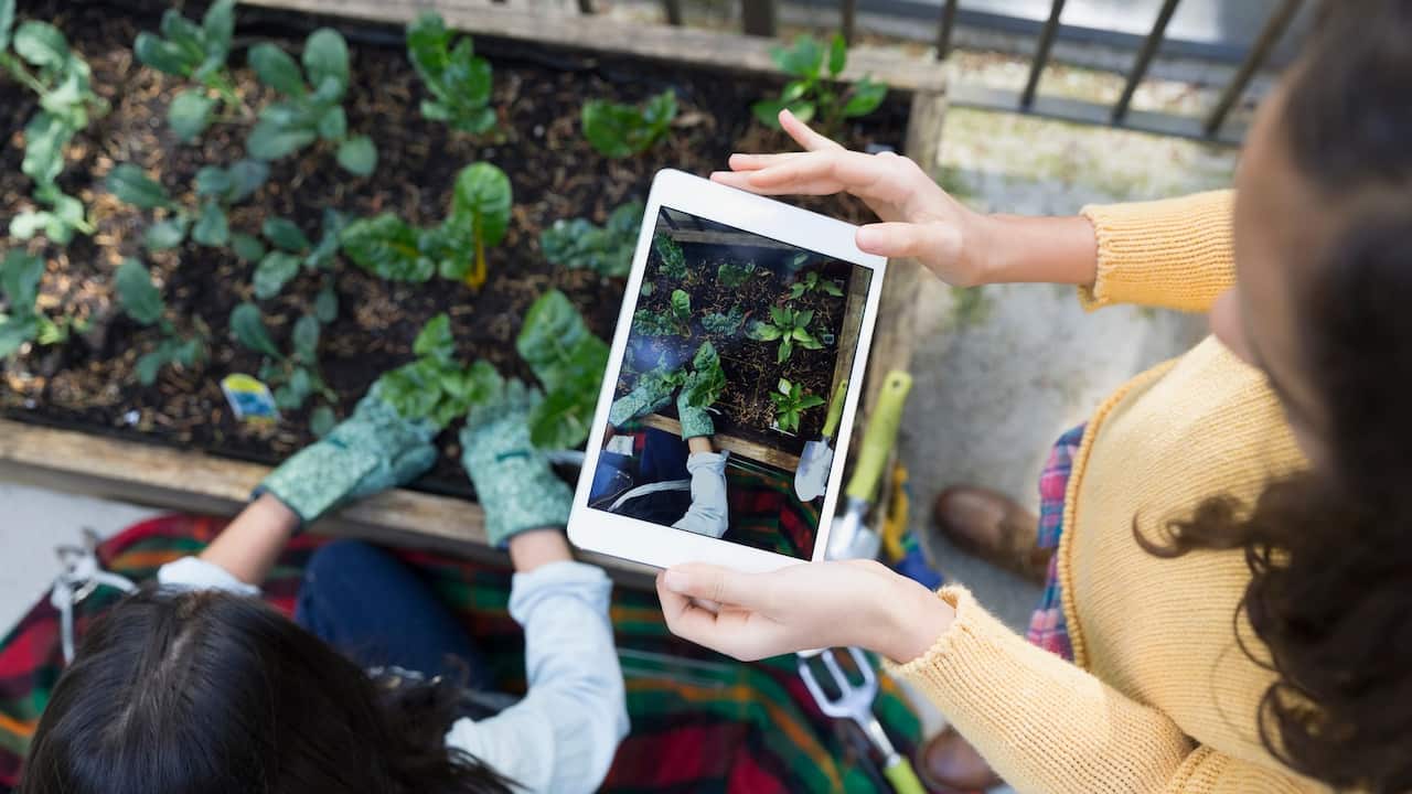 Overhead view girl with digital tablet photographing mother gardening