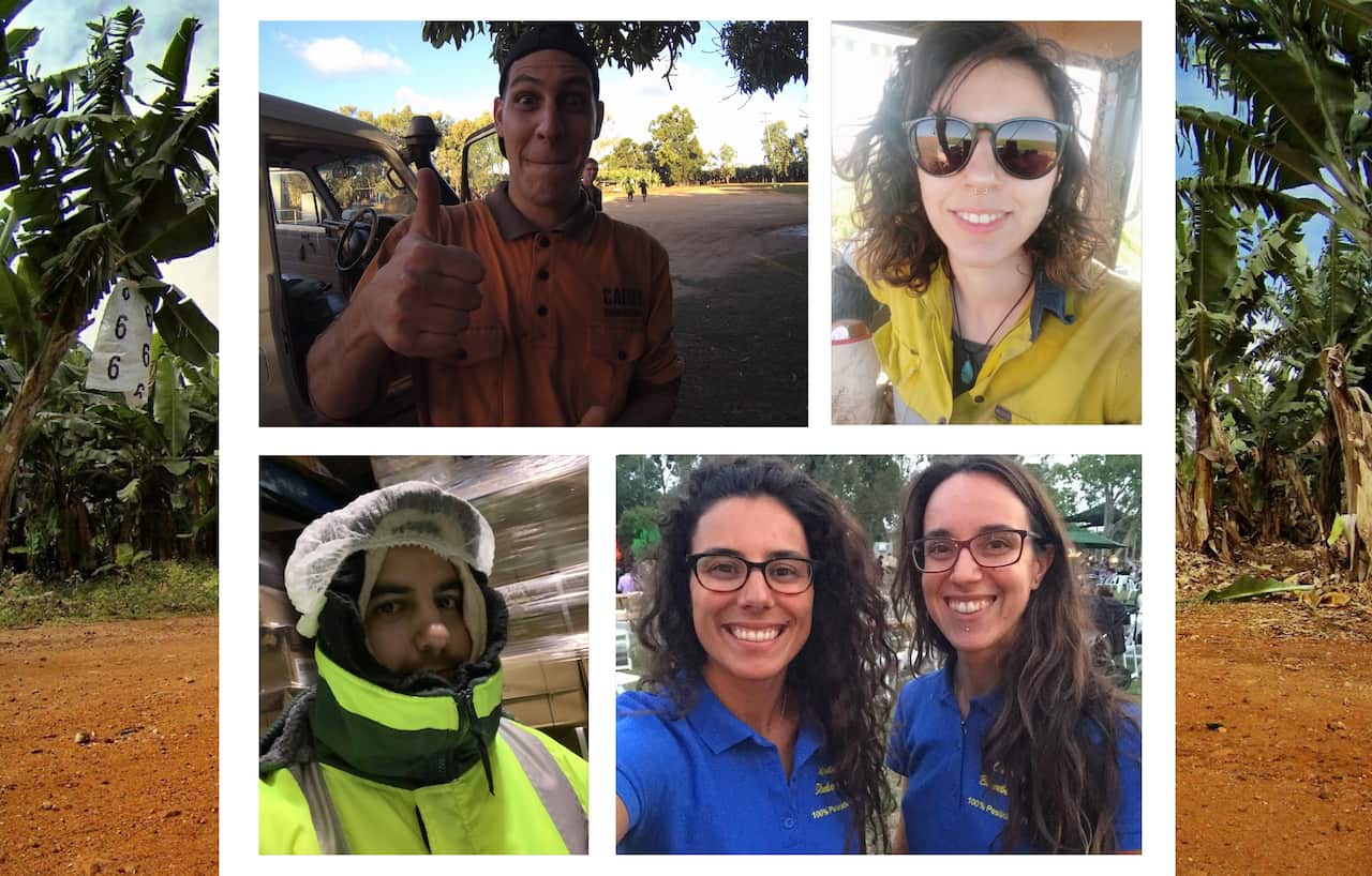 composite image of 5 international backpackers