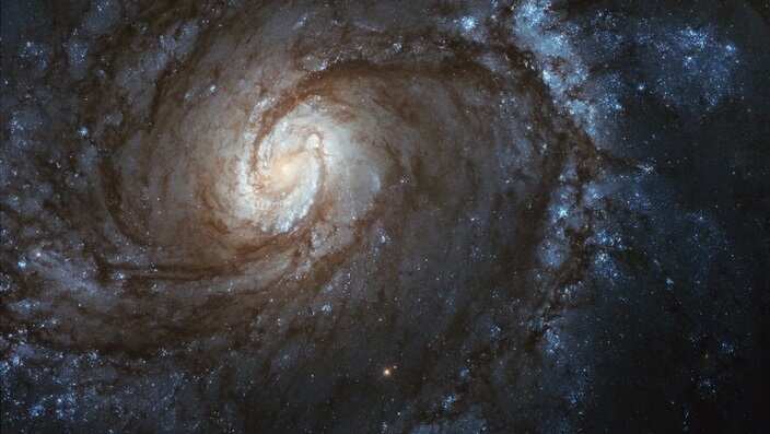 Hubble's image of grand spiral galaxy M100