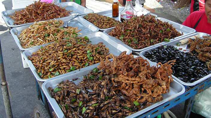 Insect food stall in Bangkok, Thailand.
