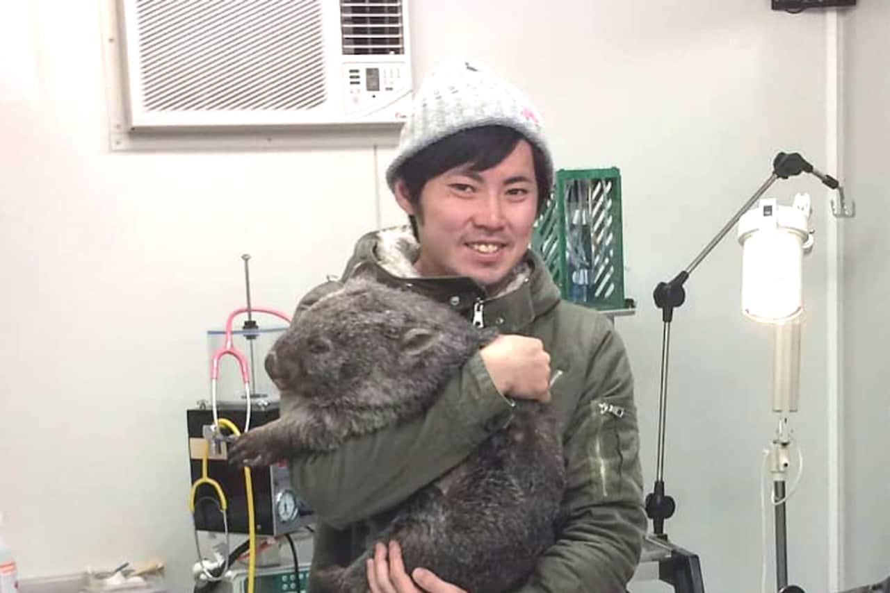 Wombat mange Kotaro Takano