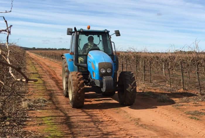 Punjabi farmer in Australia